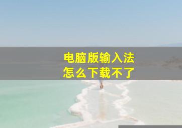 电脑版输入法怎么下载不了