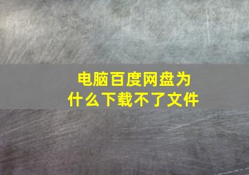 电脑百度网盘为什么下载不了文件