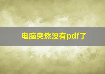 电脑突然没有pdf了