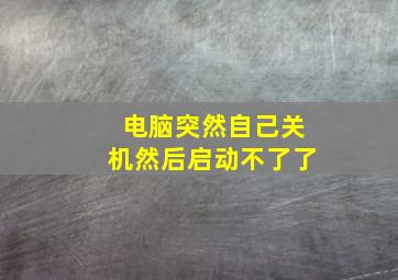 电脑突然自己关机然后启动不了了