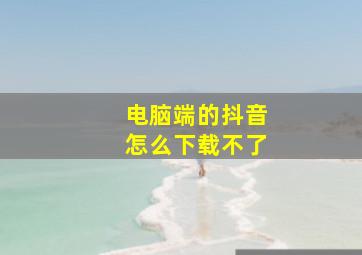 电脑端的抖音怎么下载不了