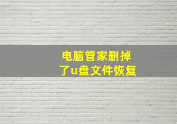 电脑管家删掉了u盘文件恢复