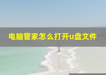 电脑管家怎么打开u盘文件