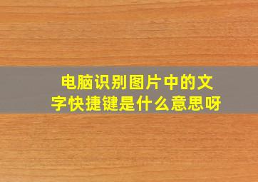 电脑识别图片中的文字快捷键是什么意思呀