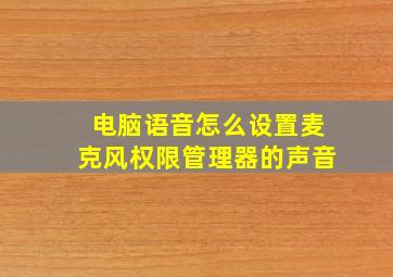 电脑语音怎么设置麦克风权限管理器的声音