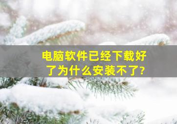 电脑软件已经下载好了为什么安装不了?