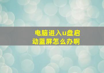 电脑进入u盘启动蓝屏怎么办啊