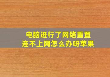 电脑进行了网络重置连不上网怎么办呀苹果