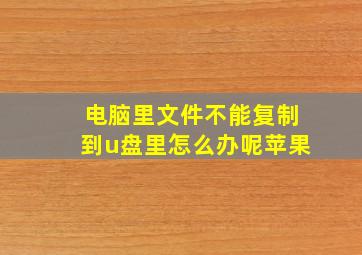 电脑里文件不能复制到u盘里怎么办呢苹果