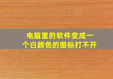 电脑里的软件变成一个白颜色的图标打不开