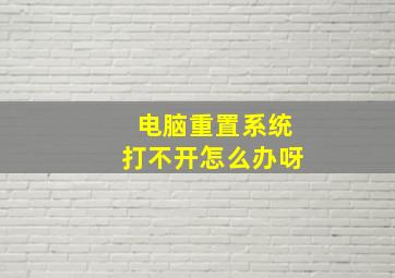 电脑重置系统打不开怎么办呀