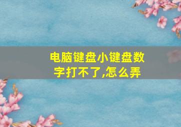 电脑键盘小键盘数字打不了,怎么弄