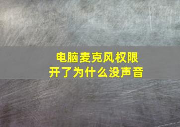 电脑麦克风权限开了为什么没声音