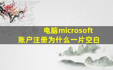 电脑microsoft账户注册为什么一片空白