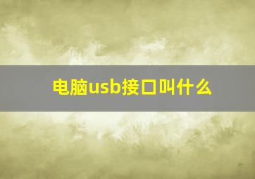 电脑usb接口叫什么