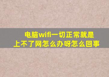 电脑wifi一切正常就是上不了网怎么办呀怎么回事