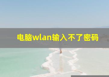 电脑wlan输入不了密码