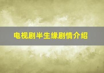 电视剧半生缘剧情介绍