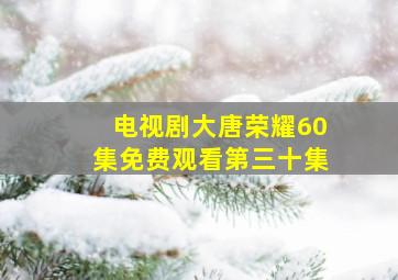 电视剧大唐荣耀60集免费观看第三十集