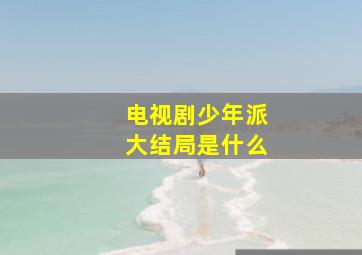 电视剧少年派大结局是什么