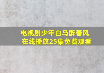 电视剧少年白马醉春风在线播放25集免费观看