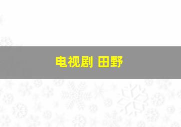 电视剧 田野