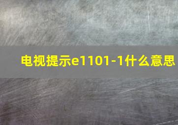 电视提示e1101-1什么意思