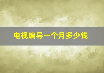 电视编导一个月多少钱