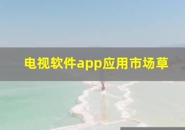 电视软件app应用市场草