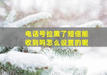 电话号拉黑了短信能收到吗怎么设置的呢