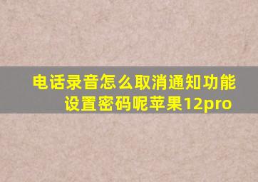 电话录音怎么取消通知功能设置密码呢苹果12pro