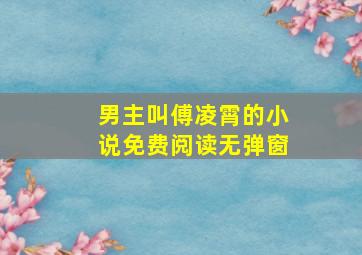 男主叫傅凌霄的小说免费阅读无弹窗