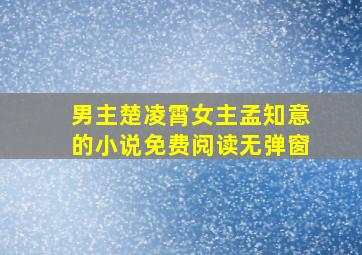 男主楚凌霄女主孟知意的小说免费阅读无弹窗