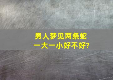 男人梦见两条蛇一大一小好不好?