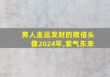 男人走运发财的微信头像2024年,紫气东来