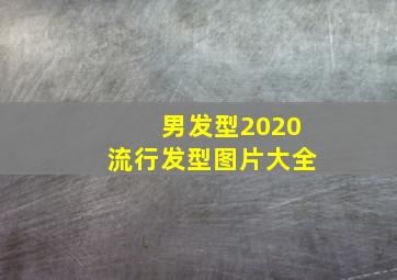 男发型2020流行发型图片大全