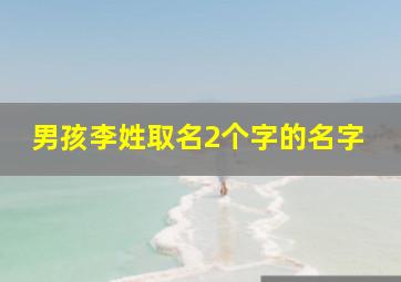 男孩李姓取名2个字的名字