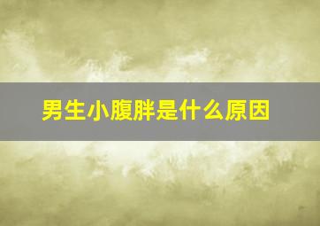 男生小腹胖是什么原因