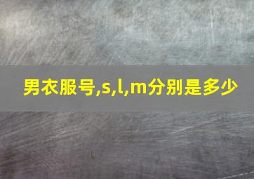 男衣服号,s,l,m分别是多少