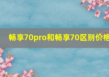 畅享70pro和畅享70区别价格