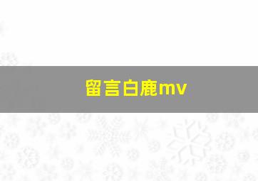 留言白鹿mv