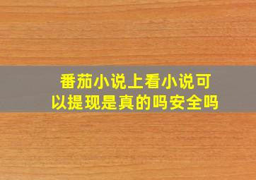 番茄小说上看小说可以提现是真的吗安全吗