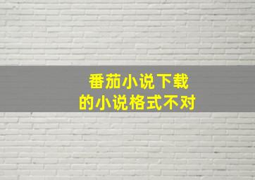 番茄小说下载的小说格式不对