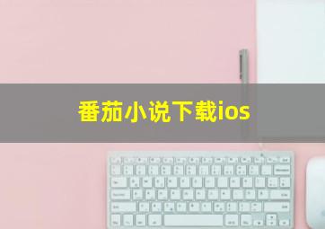 番茄小说下载ios