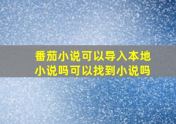 番茄小说可以导入本地小说吗可以找到小说吗