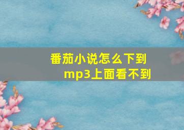 番茄小说怎么下到mp3上面看不到