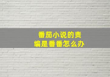 番茄小说的责编是番番怎么办