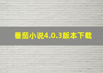 番茄小说4.0.3版本下载