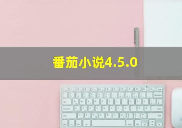 番茄小说4.5.0