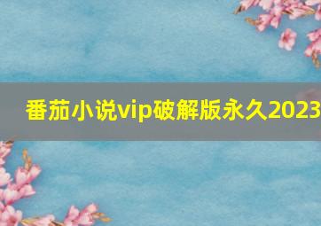 番茄小说vip破解版永久2023